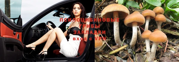 меф VHQ Бородино