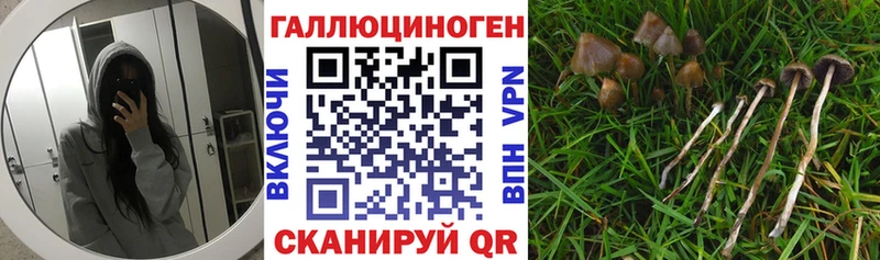 хочу наркоту  Канаш  Галлюциногенные грибы Magic Shrooms 