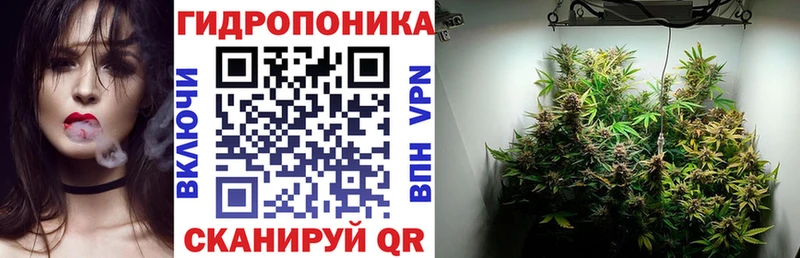 наркотики  Канаш  Канабис Amnesia 